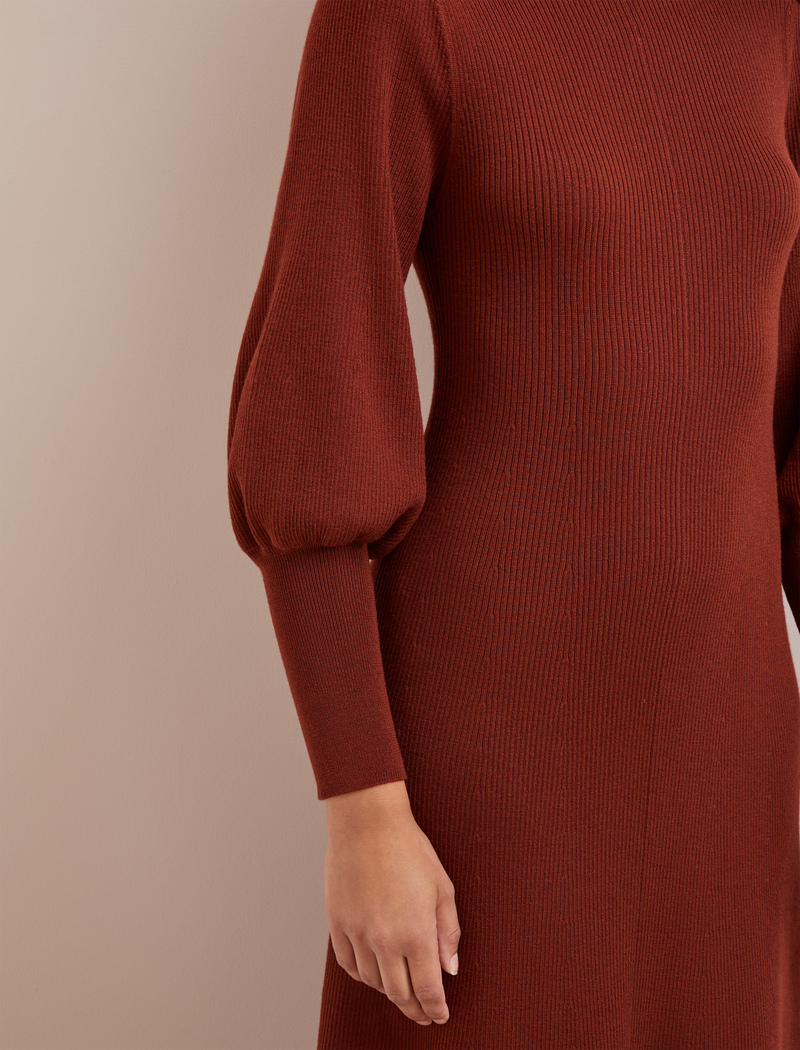 Eva Merino Wool Roll Neck Dress - Rust